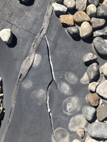 For years, BCA's roof had been causing serious issues, says Dan Grentz, BCA school board chair. “We had been patching it for years,” he said, “but it was not sustainable anymore.”